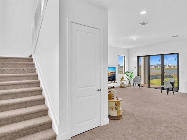 staircase with carpet floors