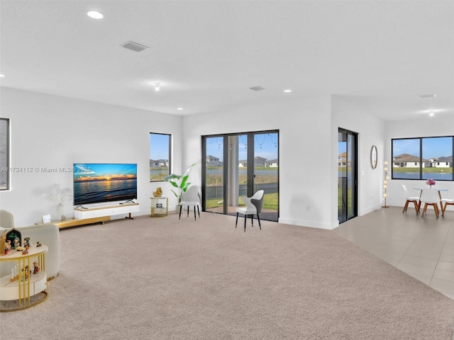 carpeted living room with a wealth of natural light