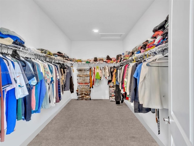 walk in closet featuring carpet