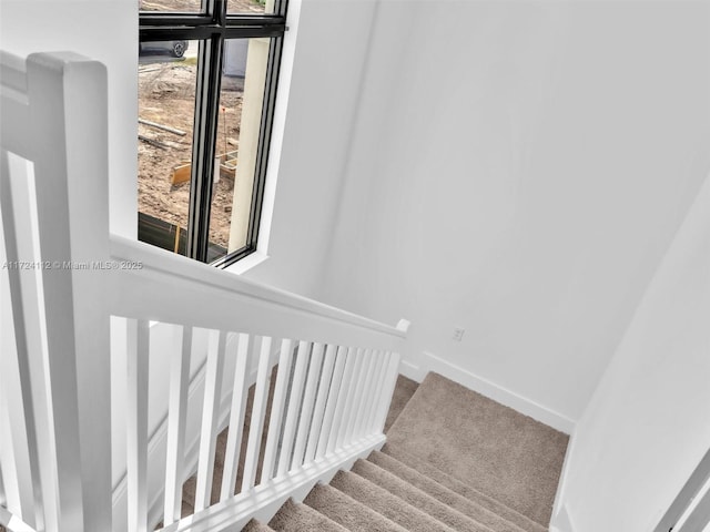 stairway featuring carpet