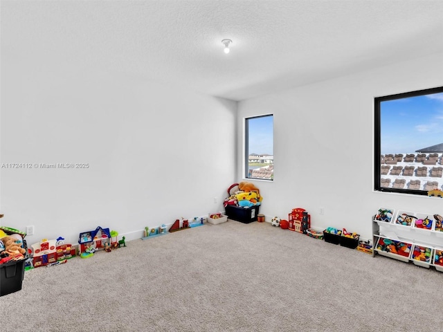 rec room featuring a textured ceiling and carpet flooring