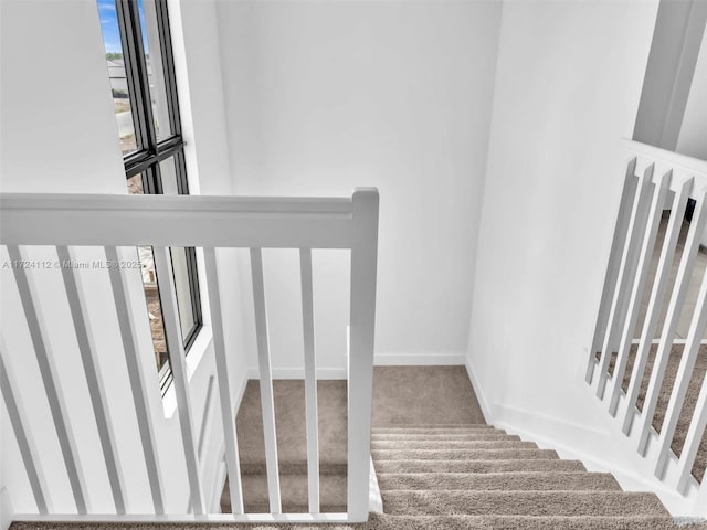 stairs featuring carpet floors