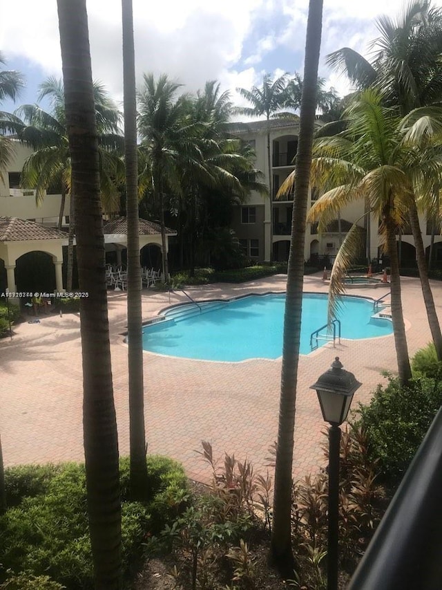 view of pool featuring a patio