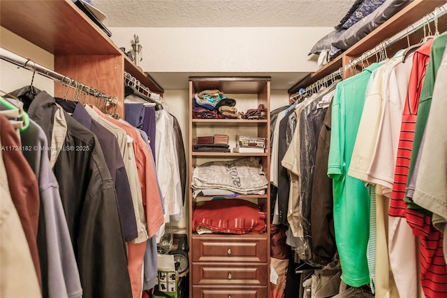 view of spacious closet