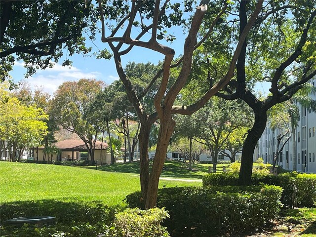 1251 SW 125th Ave Unit 108T, Pembroke Pines, FL 33027 - view of yard