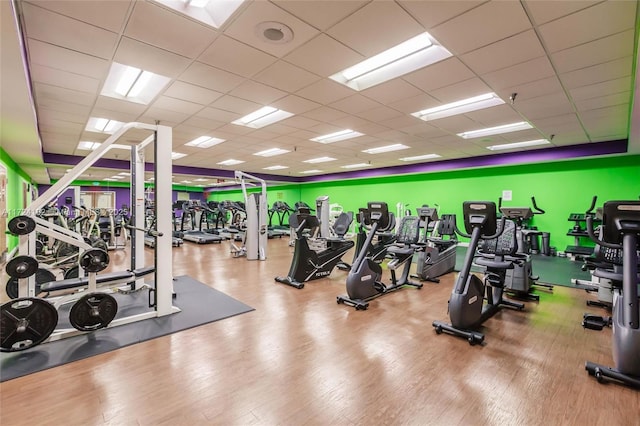 exercise room featuring wood-type flooring and a drop ceiling