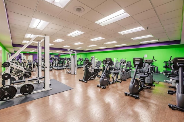 gym with a drop ceiling and wood finished floors