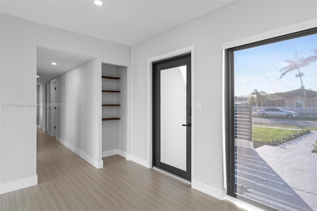 foyer with wood-type flooring and a healthy amount of sunlight