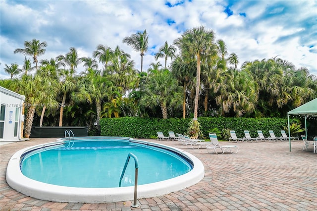 view of pool featuring a patio