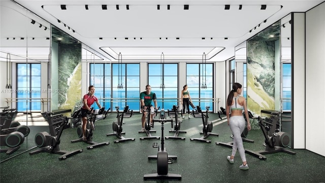 exercise room featuring a wall of windows