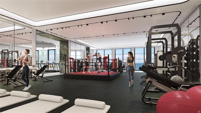 exercise room featuring floor to ceiling windows