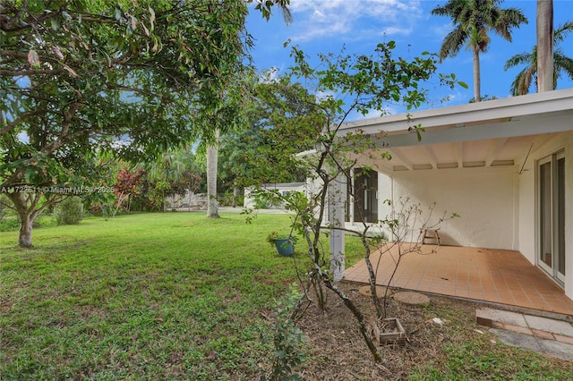 view of yard with a patio area