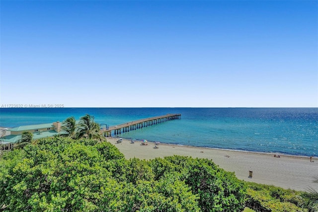 water view with a view of the beach