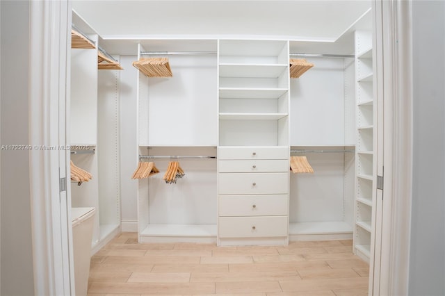 walk in closet with light hardwood / wood-style flooring