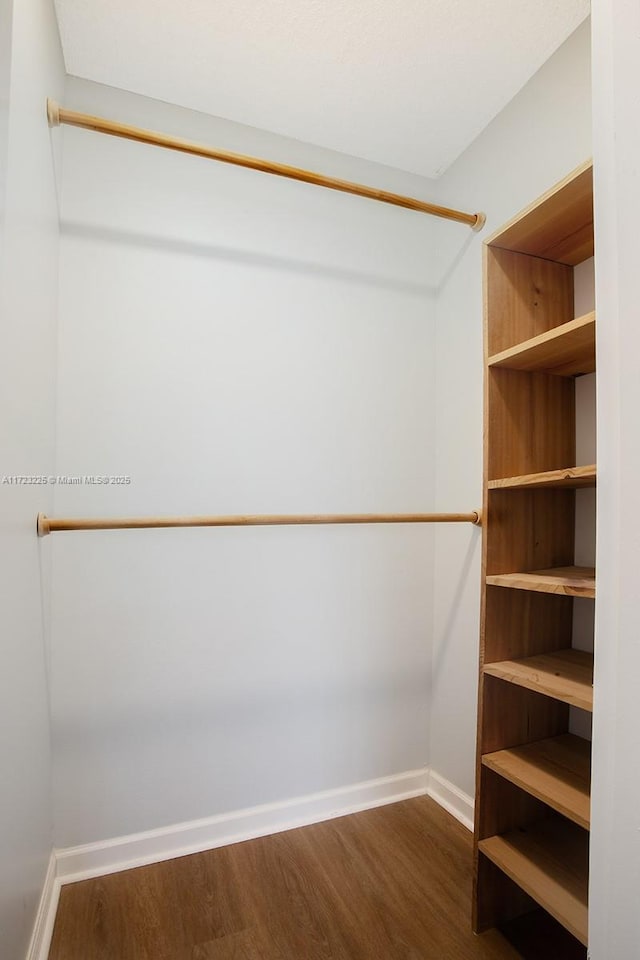 spacious closet with dark hardwood / wood-style flooring