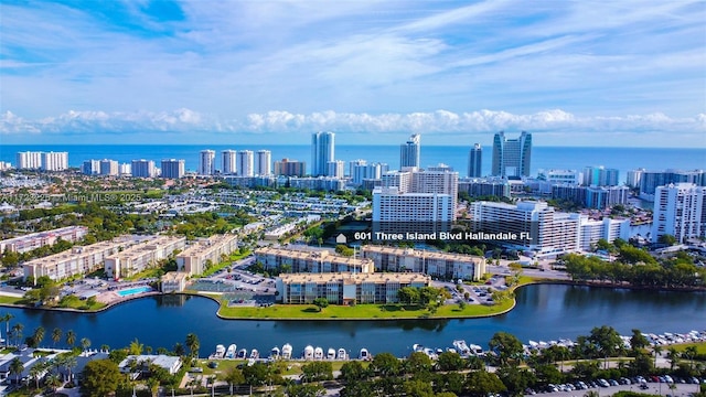 aerial view with a water view