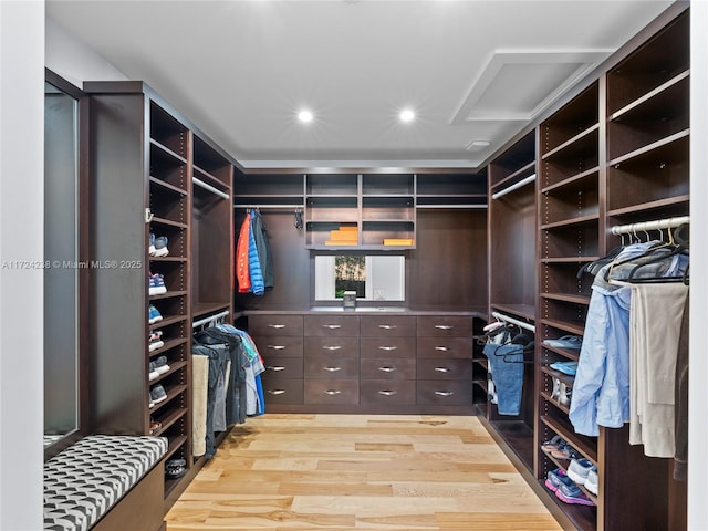 spacious closet with light wood-type flooring