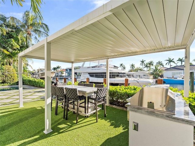 view of yard featuring an outdoor kitchen