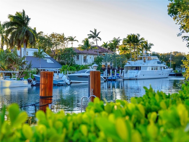 dock area with a water view