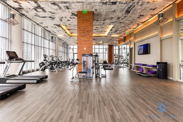 exercise room with wood-type flooring, an inviting chandelier, and floor to ceiling windows