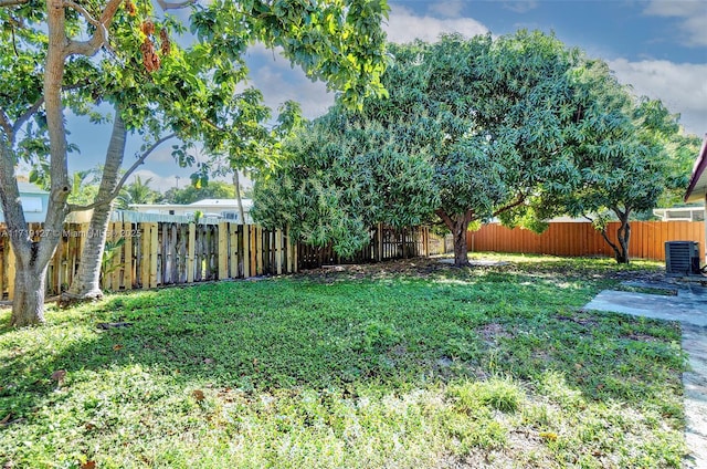 view of yard featuring central air condition unit