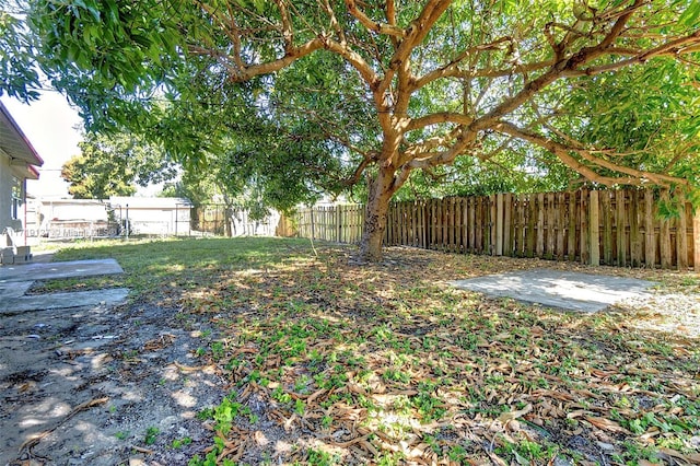 view of yard with a patio area