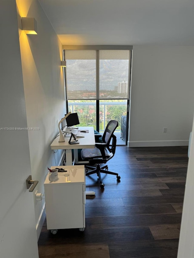 office featuring expansive windows and dark wood-type flooring