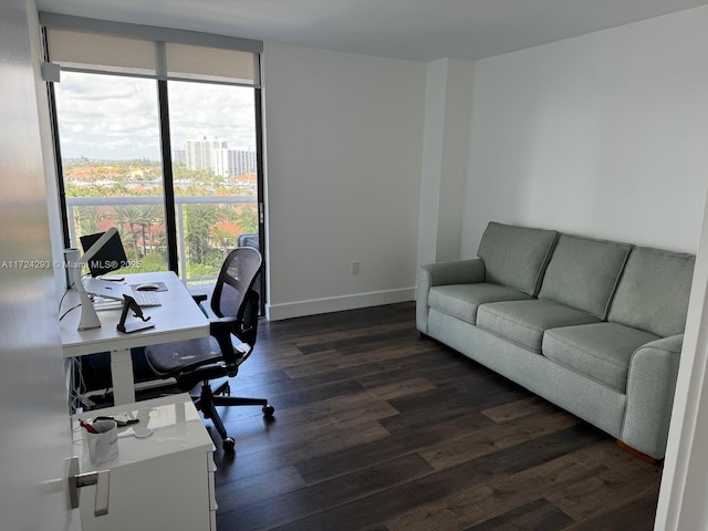 office area featuring dark wood-type flooring and a wall of windows