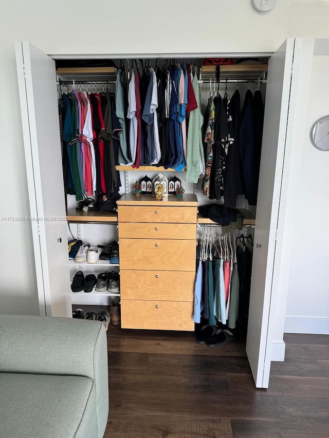 view of closet