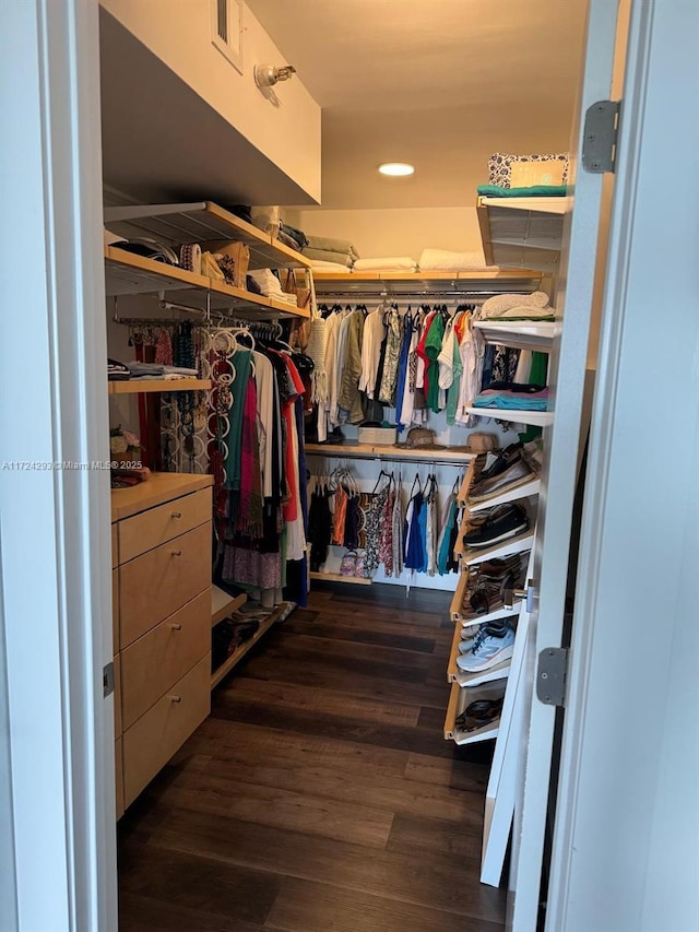 spacious closet featuring dark wood-type flooring