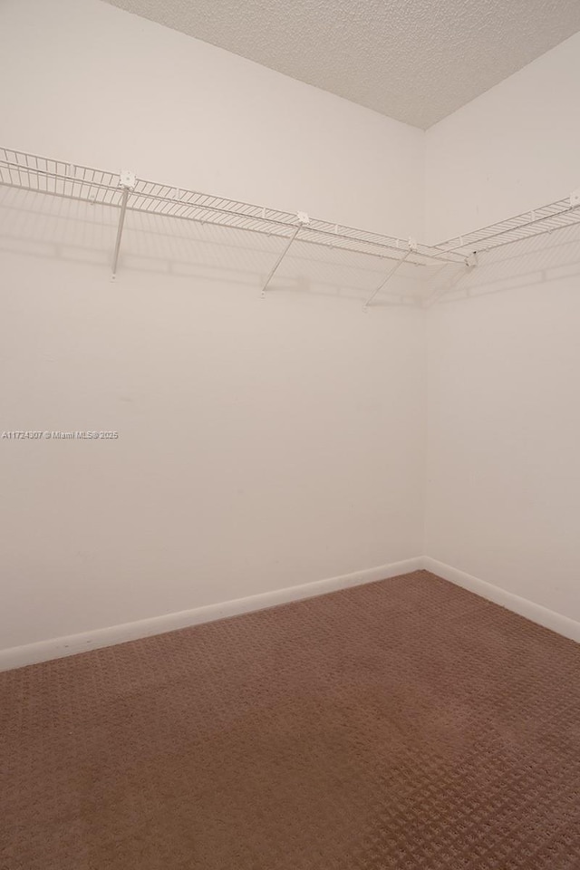 walk in closet with carpet floors