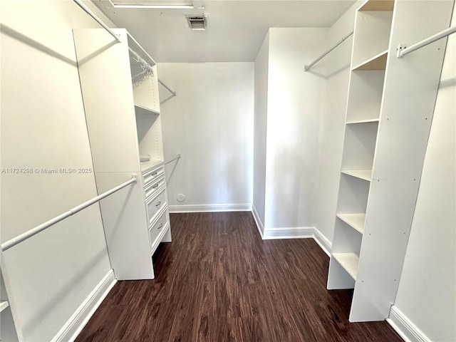 walk in closet featuring dark hardwood / wood-style flooring