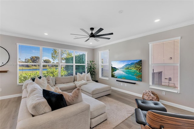 living room featuring light wood-type flooring, ceiling fan, and crown molding