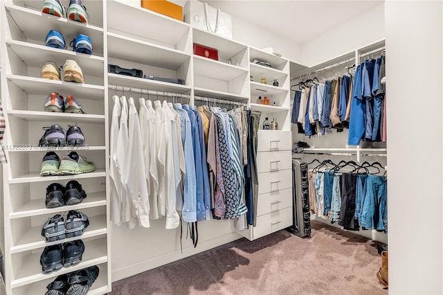 walk in closet with carpet