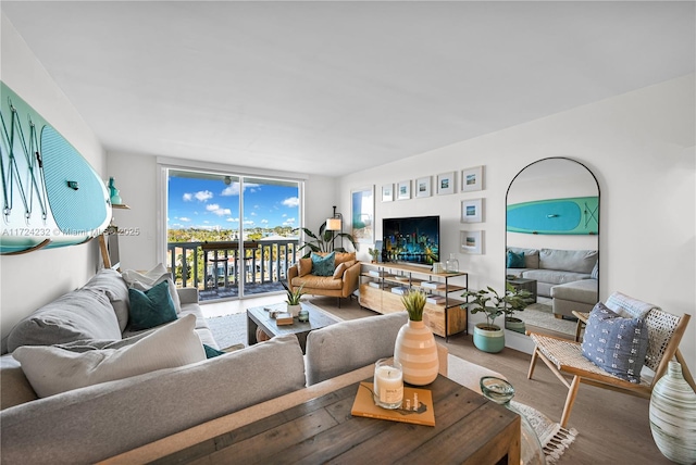 living room with a wall of windows and wood finished floors