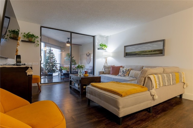 bedroom featuring access to outside, floor to ceiling windows, dark hardwood / wood-style flooring, and a textured ceiling