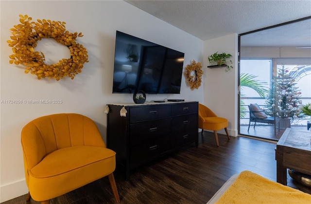 sitting room featuring dark hardwood / wood-style flooring and a textured ceiling