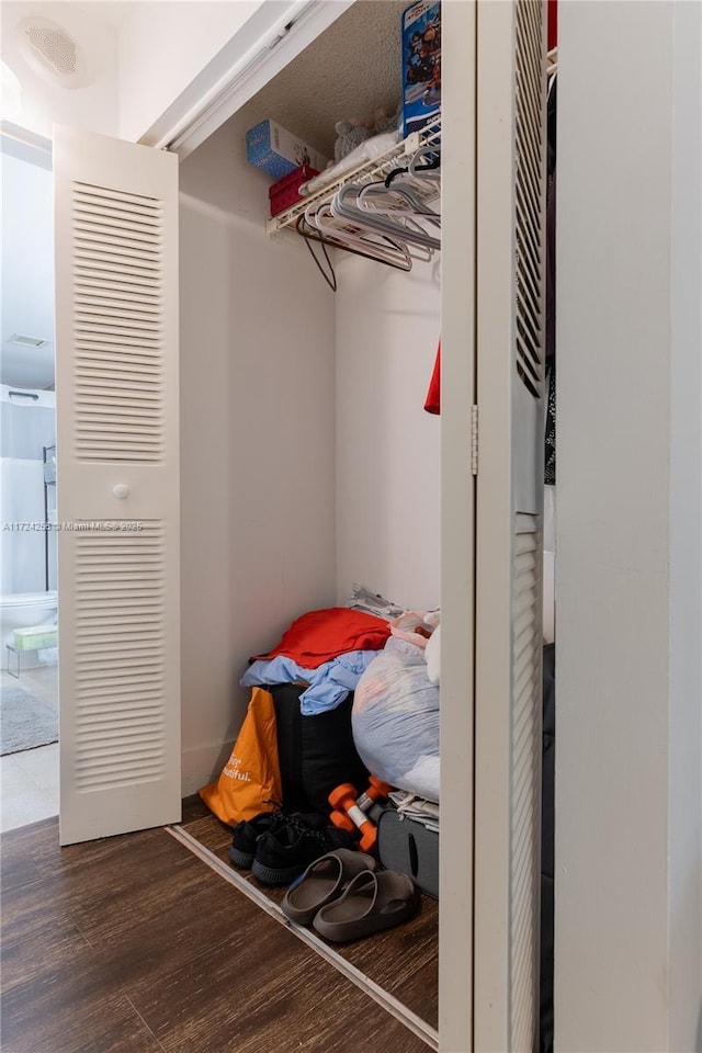 view of closet