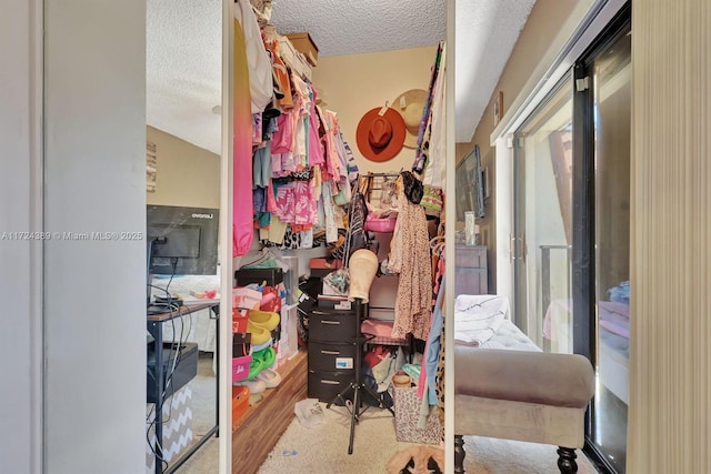 spacious closet with hardwood / wood-style flooring