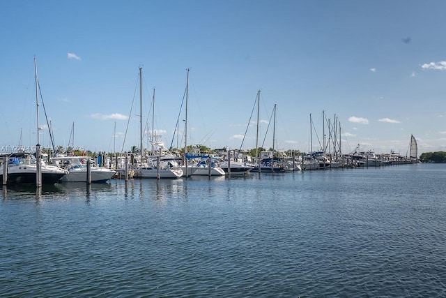 property view of water with a boat dock