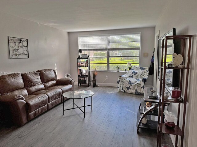 living room featuring hardwood / wood-style floors