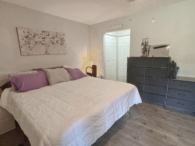 bedroom featuring hardwood / wood-style floors and a closet