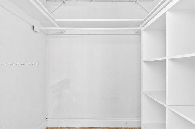 view of spacious closet