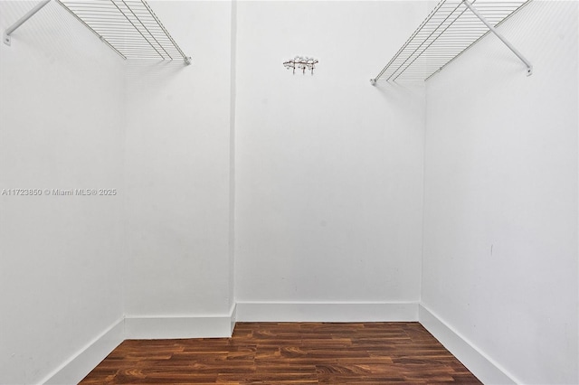 walk in closet featuring dark hardwood / wood-style flooring