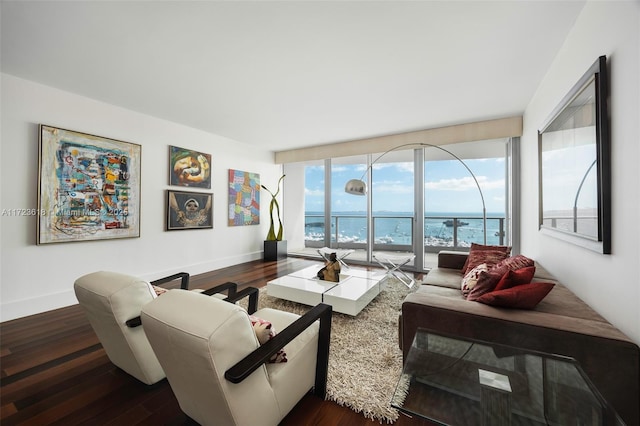 living room featuring dark hardwood / wood-style flooring, a water view, and plenty of natural light