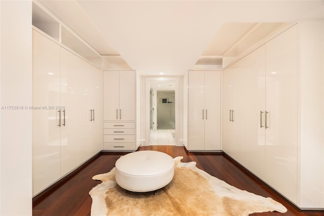 bathroom with hardwood / wood-style floors and a shower with shower door