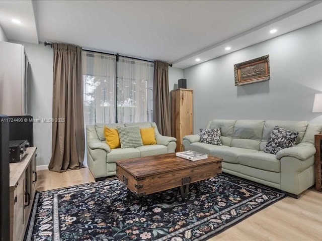 living room with light wood-type flooring