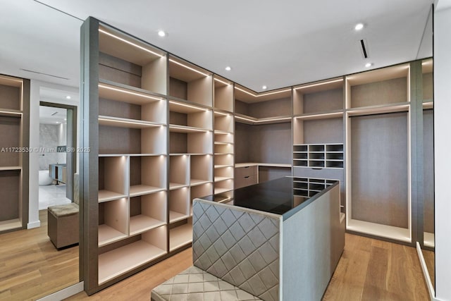 spacious closet with light wood finished floors