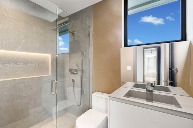 bathroom with vanity, a shower stall, and toilet