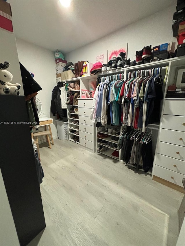 spacious closet featuring wood finished floors